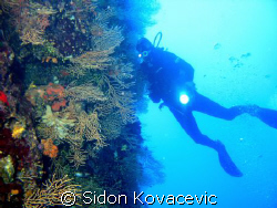 island solta 
40m deep by Sidon Kovacevic 